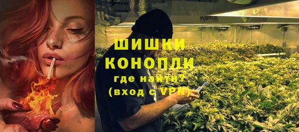 гидра Горно-Алтайск
