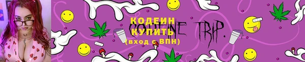 гидра Горно-Алтайск