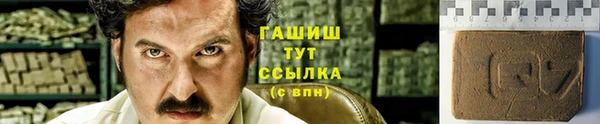 ешки Горняк