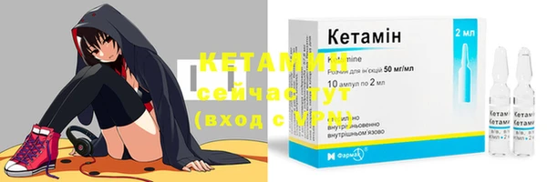 гидра Горно-Алтайск