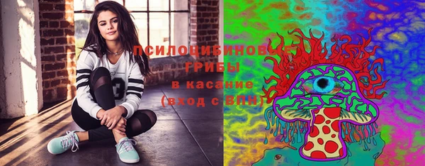 гидра Горно-Алтайск