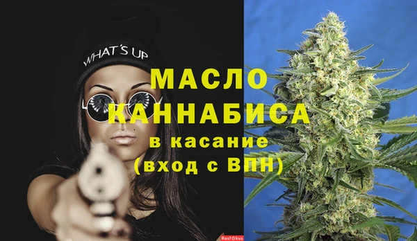 ешки Горняк