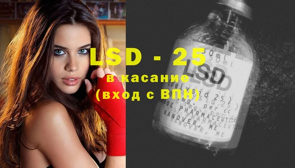 ешки Горняк