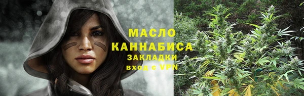 стафф Вязьма
