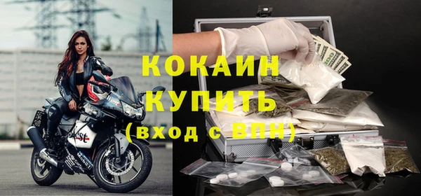ешки Горняк