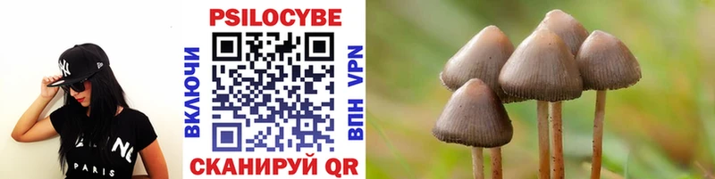 Галлюциногенные грибы Psilocybine cubensis  Туймазы 